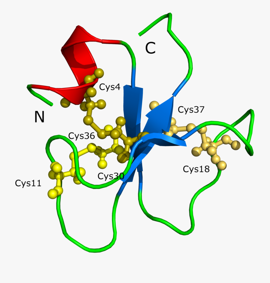 Inland Taipan Venom Chemical Structure, Transparent Clipart