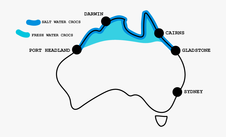 When Are Crocodiles Most Active, Transparent Clipart