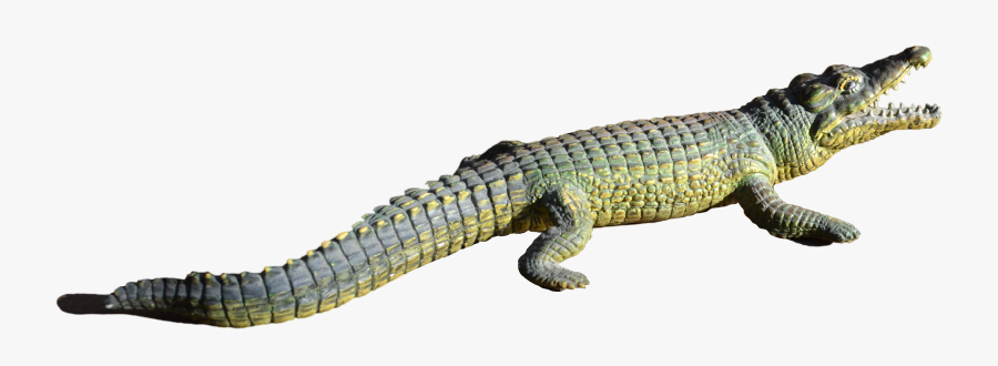 Alligator Png File - Nile Crocodile Png, Transparent Clipart