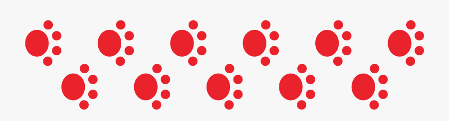 Circle, Transparent Clipart