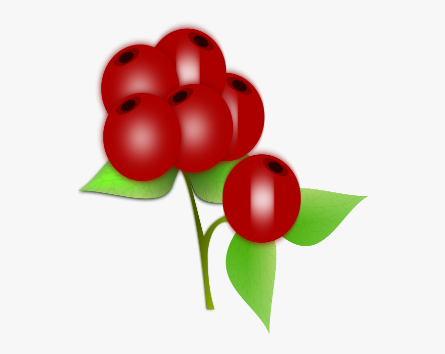 Disclaimer Law Royalty Free Rf Colored Pencils Clip - Red Berry Clipart, Transparent Clipart