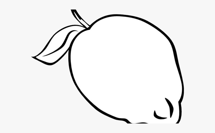 Fruit Outlines, Transparent Clipart