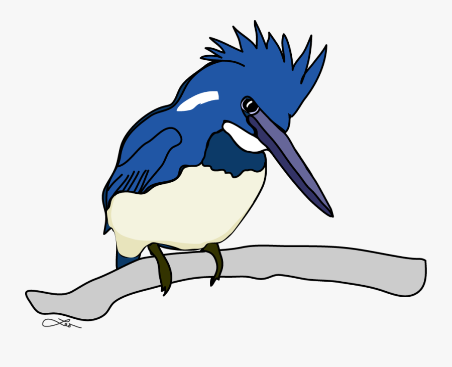 Kingfisher3 - Seabird, Transparent Clipart