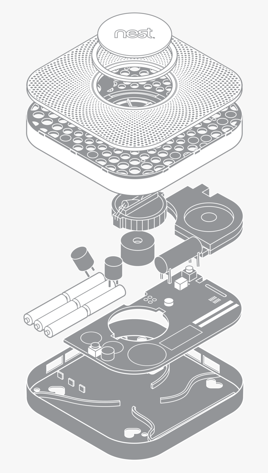Remie Geoffroi - Nest - Illustration, Transparent Clipart