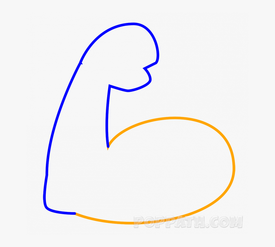 Draw A Muscle Arm, Transparent Clipart