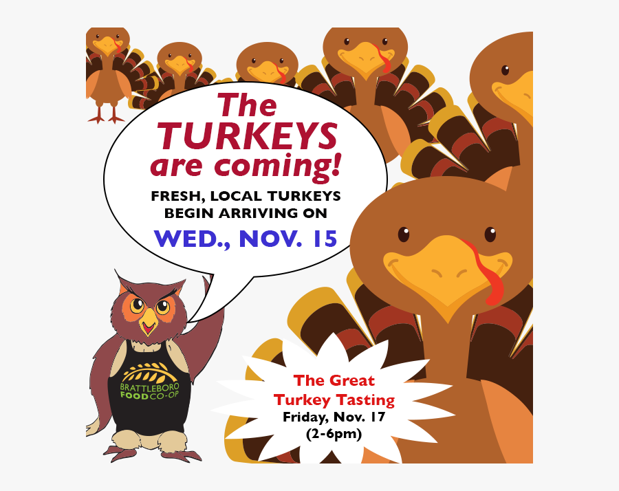 Turkeys Are Coming - Cartoon, Transparent Clipart