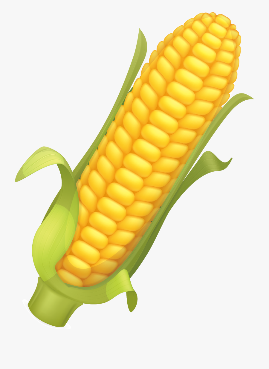 Corn Flakes, Maize, Corncob, Side Dish Png Image With - Corn Free Illustration Png, Transparent Clipart