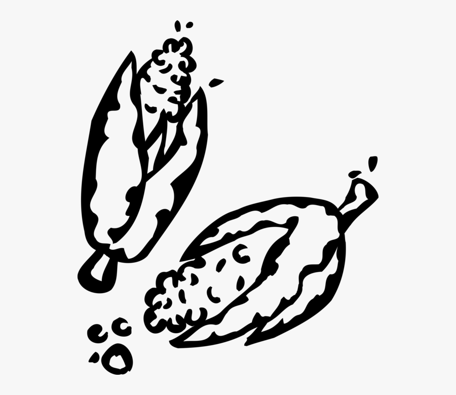 Vector Illustration Of Maize Corn On The Cob Grain, Transparent Clipart