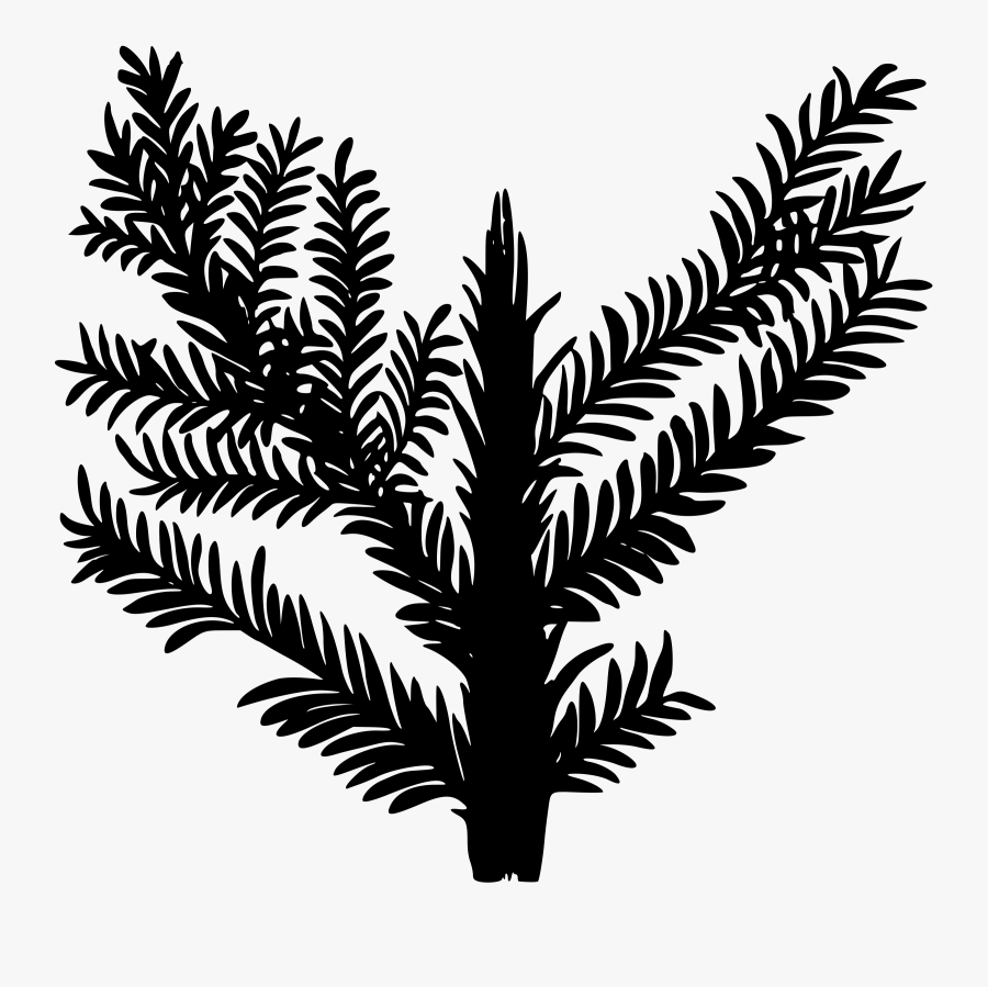 Triassic Plant Clip Arts, Transparent Clipart