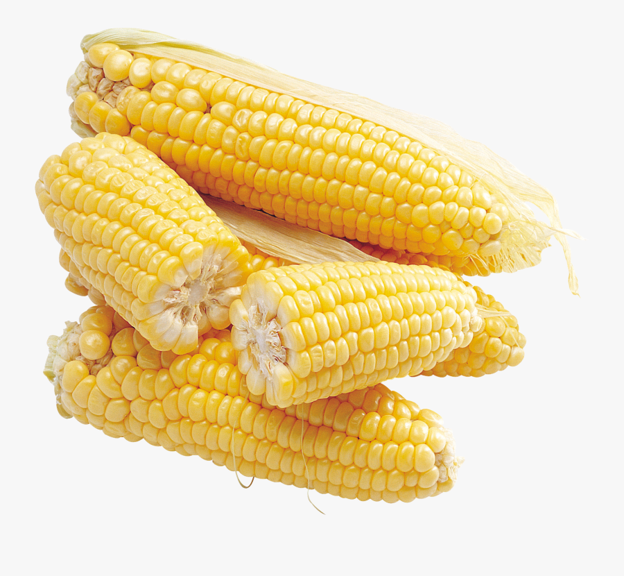 Corn Png Image, Transparent Clipart