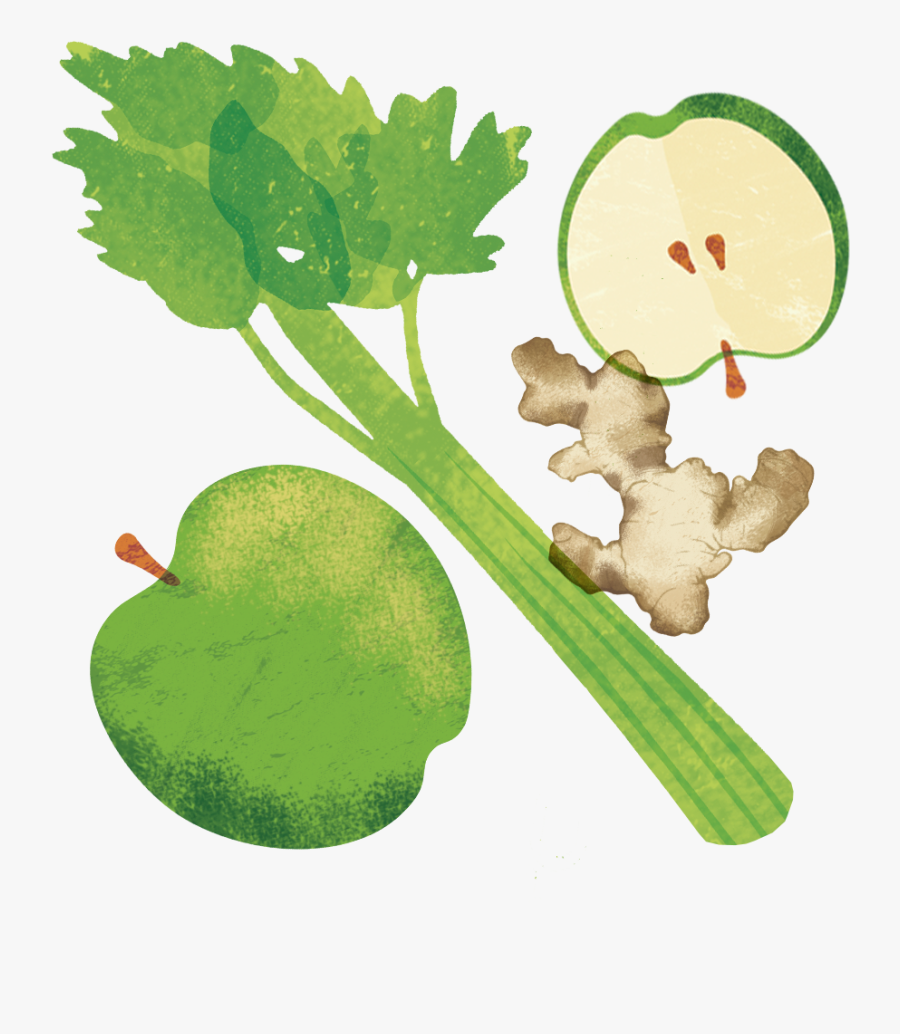 Celery Clip Art, Transparent Clipart