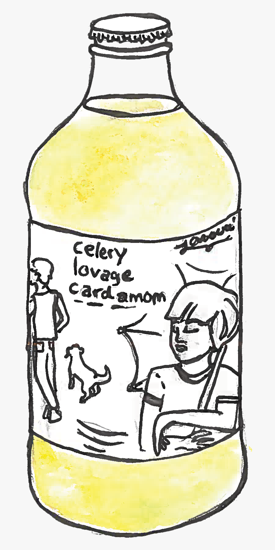 2-3celerylovagecardamom, Transparent Clipart