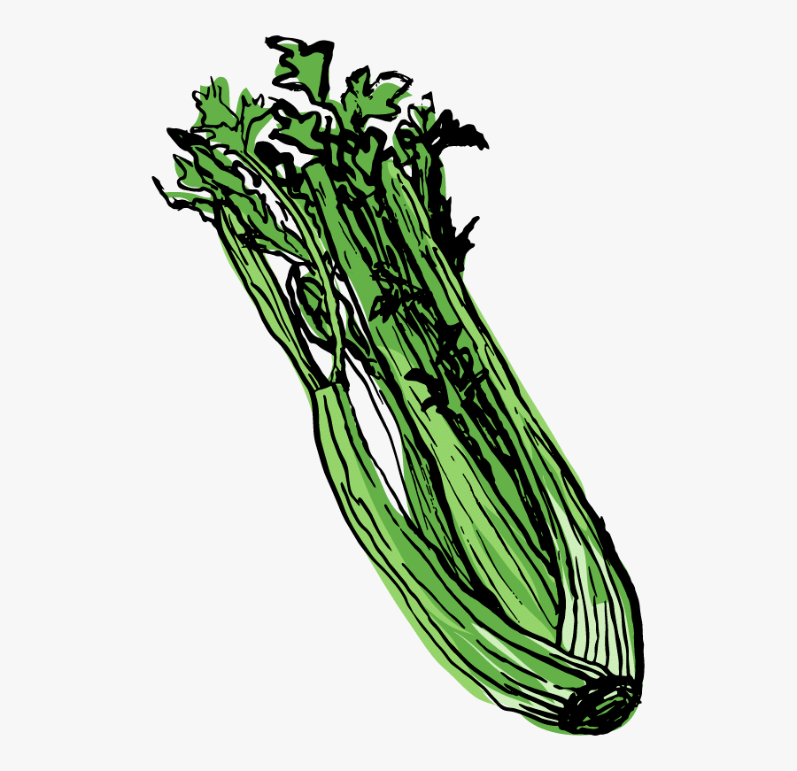 Celery Clip Art, Transparent Clipart