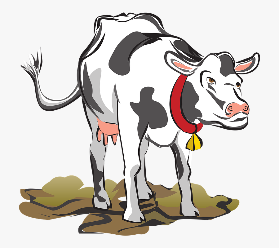 Illustration Of A Dairy Cow, Transparent Clipart