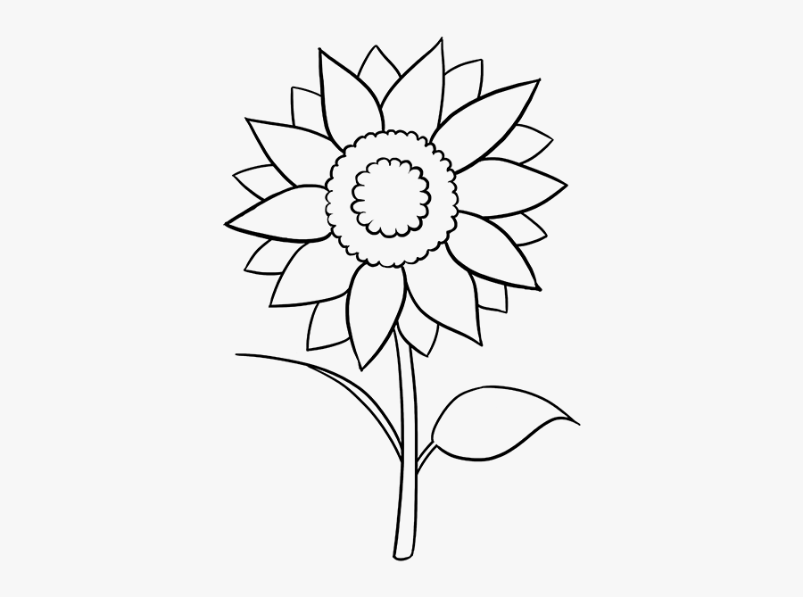 Clip Art Black And White Collection Of Pics, Transparent Clipart