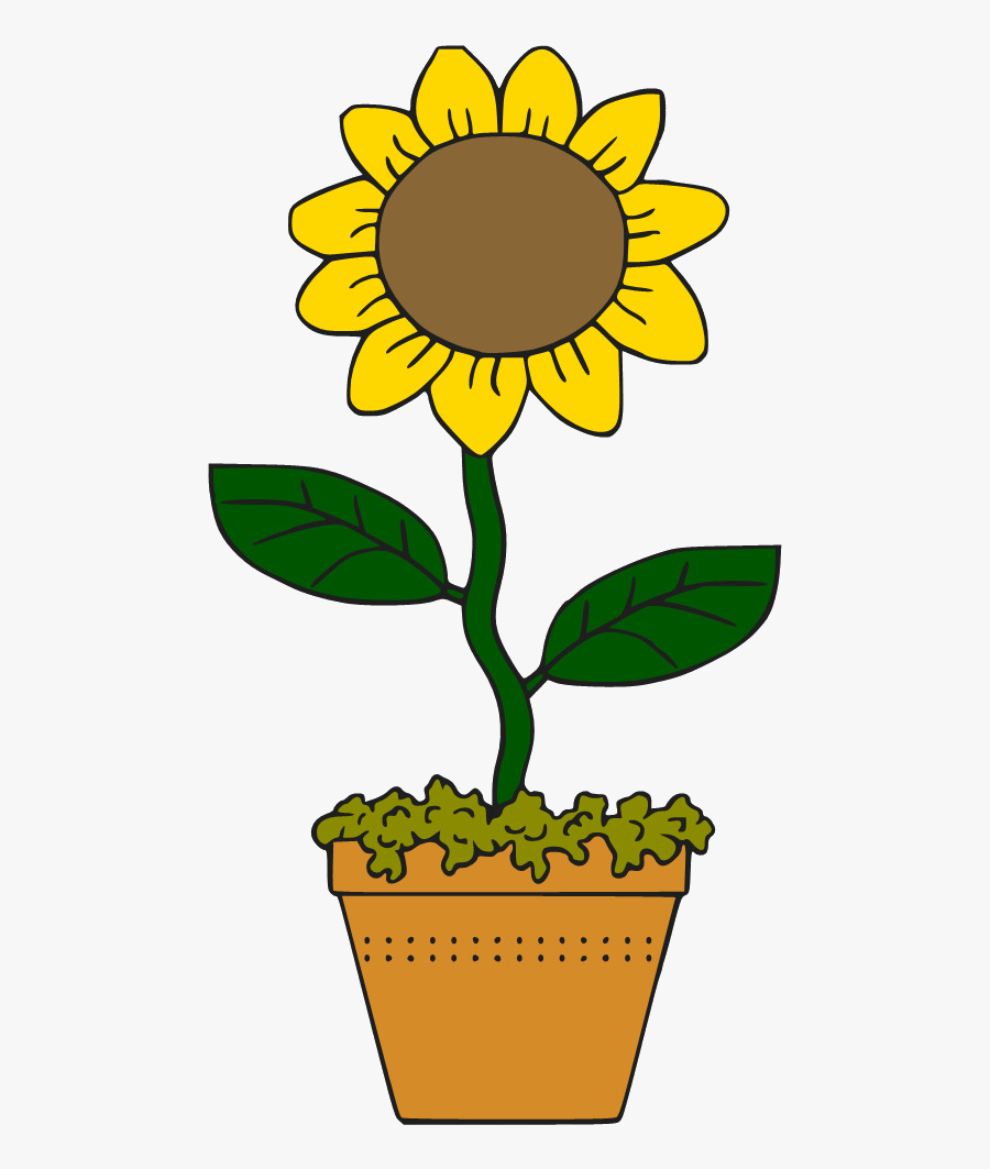 Sunflower Common Cartoon Drawing Clip Art Transparent, Transparent Clipart
