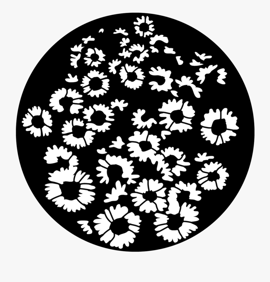 Sunflower Breakup, Transparent Clipart