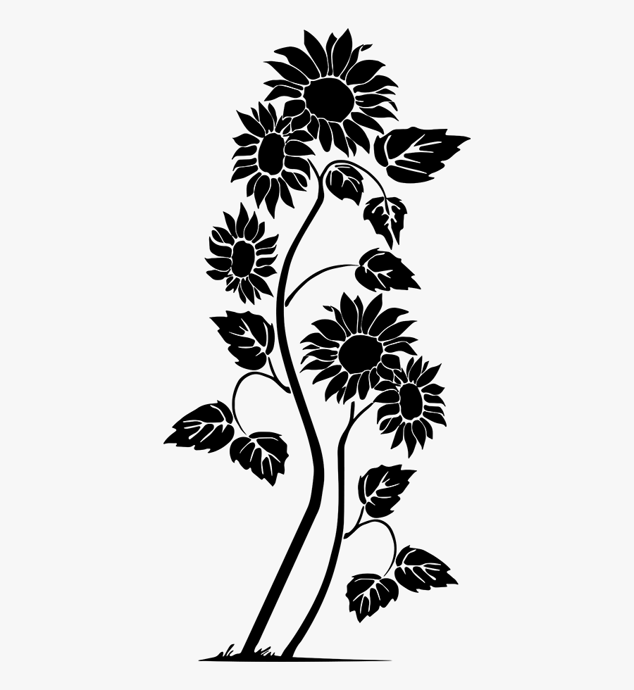 Mirror Sunflower, Transparent Clipart