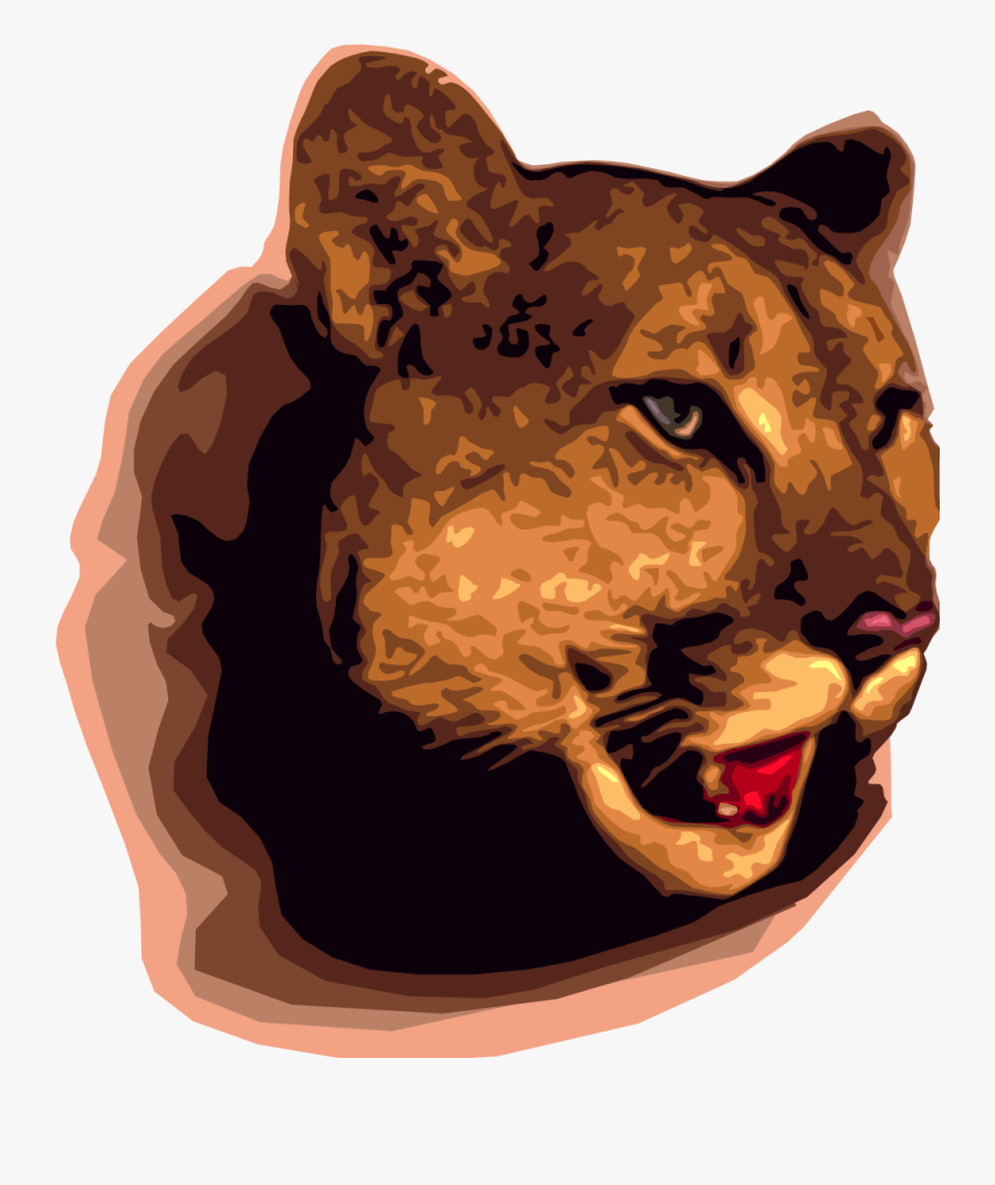 Cougar Pride, Transparent Clipart