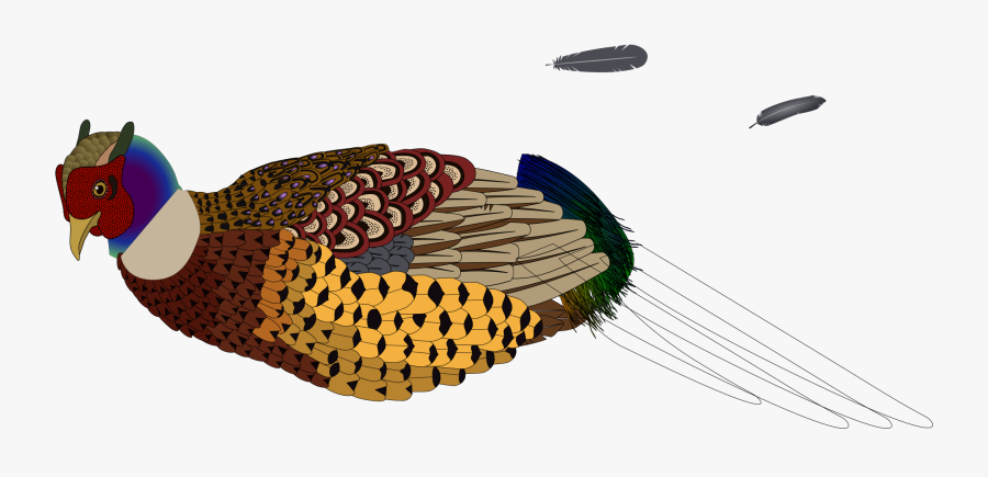 Bird Pheasant Clip Art - Pheasants Clipart Transparent, Transparent Clipart