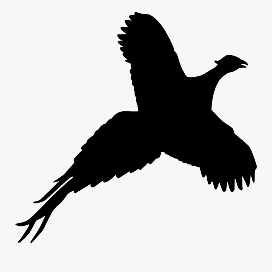 Pheasant Flying Silhouette Transparent Background - Silhouette Of A Pheasant, Transparent Clipart