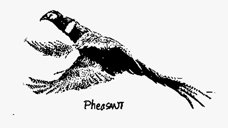 Line Art,line,art - Clip Art, Transparent Clipart