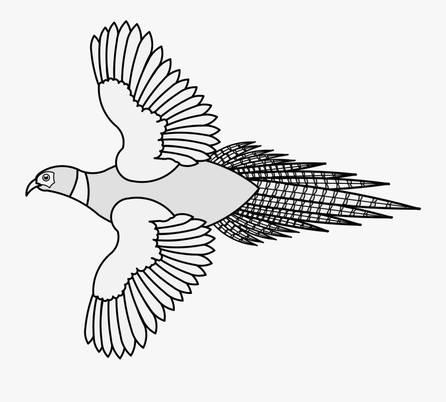 Pigeons And Doves, Transparent Clipart