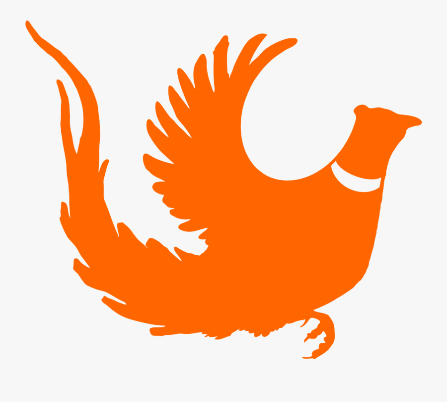 Chicken, Transparent Clipart