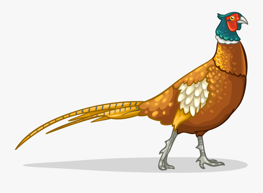 Pheasant Icon Clipart , Png Download - Cartoon Pheasant Transparent, Transparent Clipart