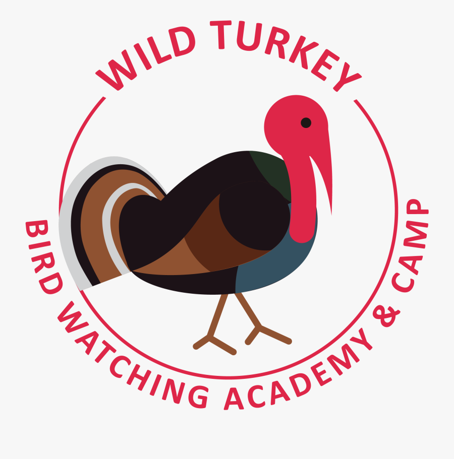 Wild Turkey Picture - Carimbo Made In Brazil, Transparent Clipart
