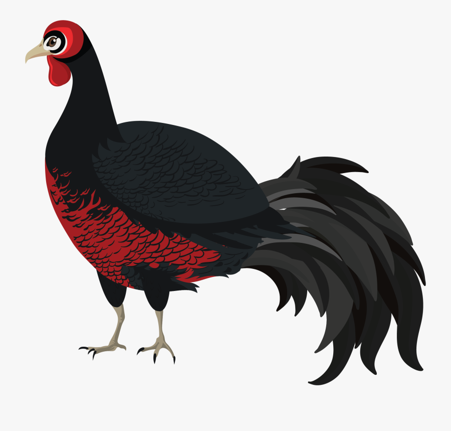 Pheasant, Transparent Clipart