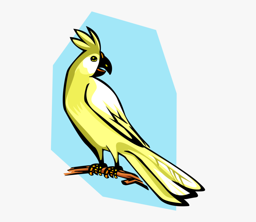 Vector Illustration Of Cockatoo Parrot Bird - Kartun Burung Dipohon, Transparent Clipart