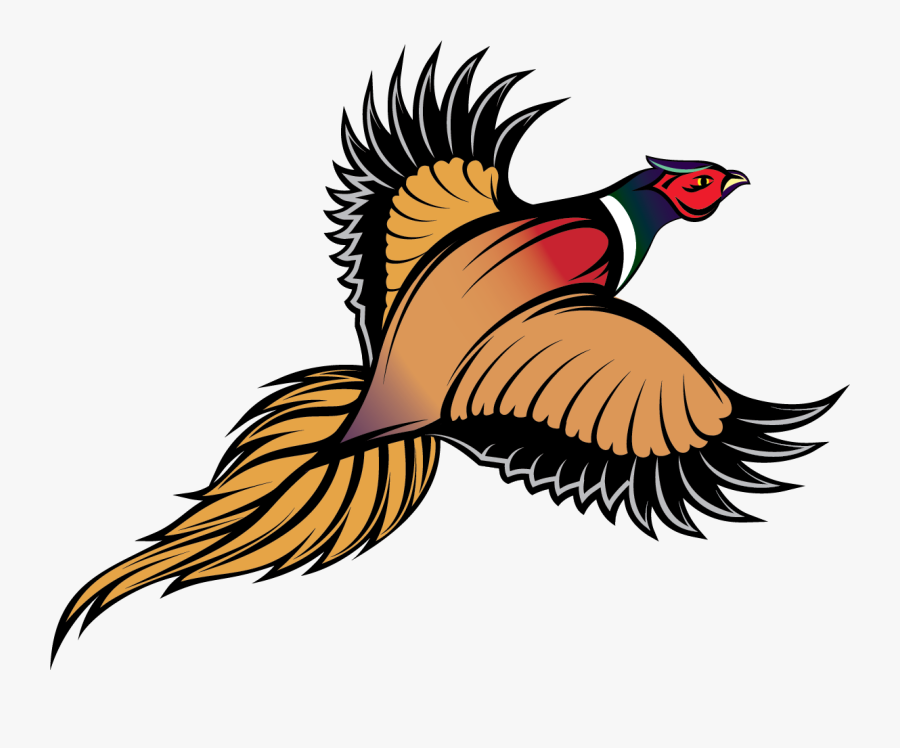 Ring Necked Pheasant - Pheasant Clipart, Transparent Clipart