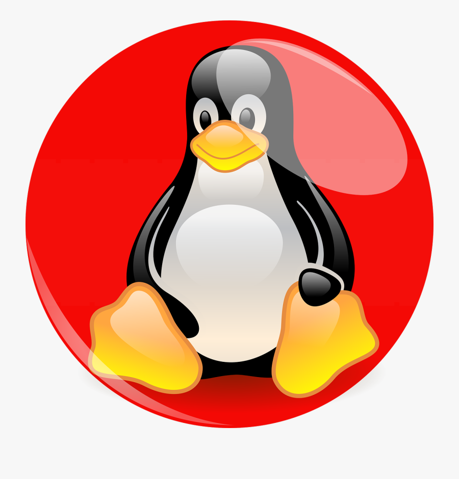 Tux Red Hat - Pinguino De Linux Png, Transparent Clipart