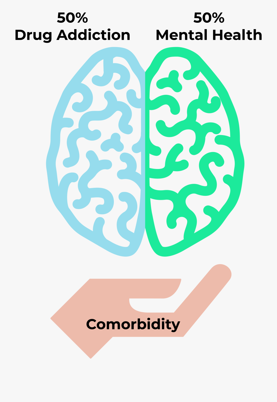 What Is Comorbidity - Human Brain, Transparent Clipart