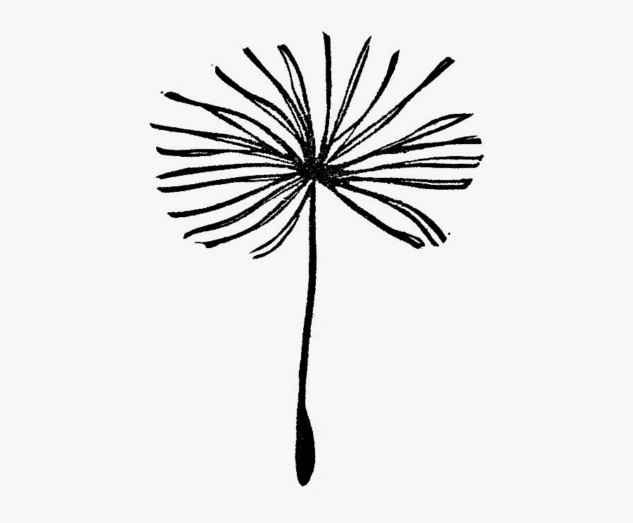 Dragonfly With 2016 Date Stamp - Line Art, Transparent Clipart