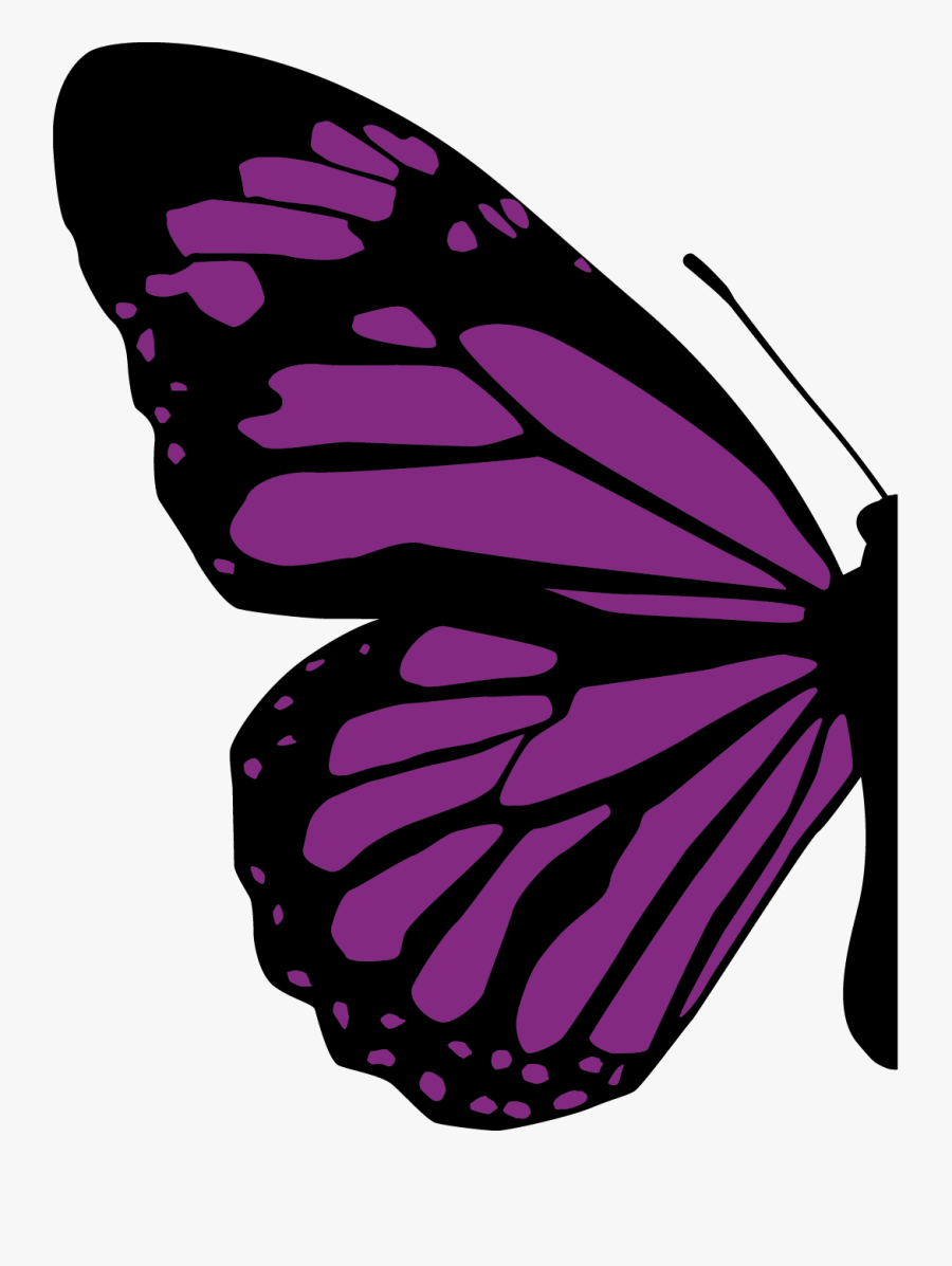 Half Of Butterfly Png, Transparent Clipart