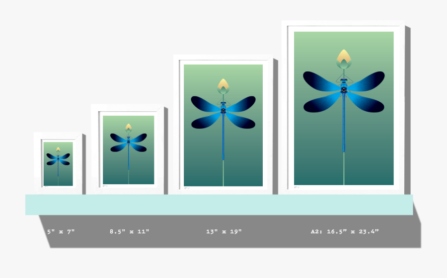Rkr Sizes Dragonfly - Graphic Design, Transparent Clipart