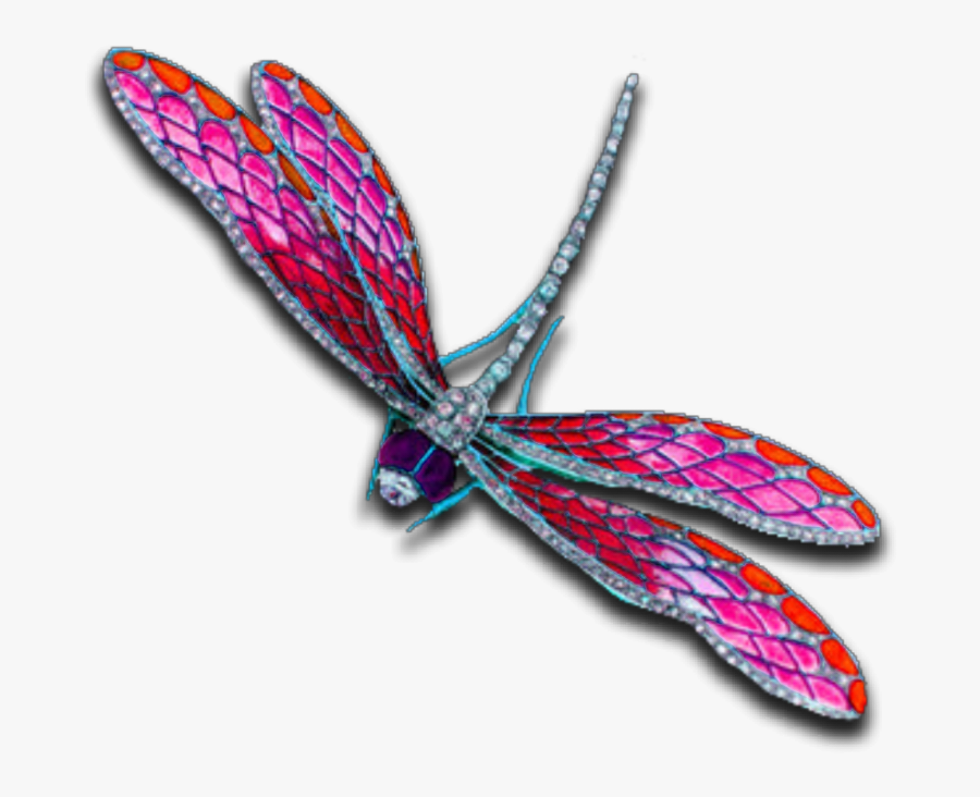 #pink #dragonfly #insect #bug #fly #jewelry #silver - Dragonflies And Damseflies, Transparent Clipart