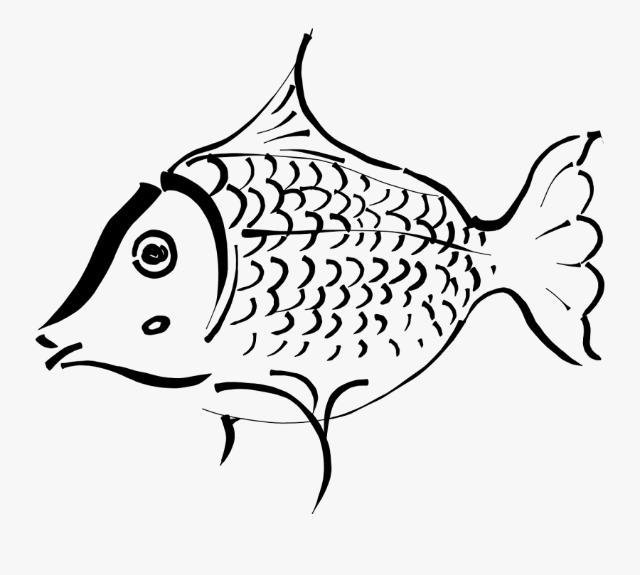 Sea Bass With Citrus Salsa - Outline Of A Fish, Transparent Clipart