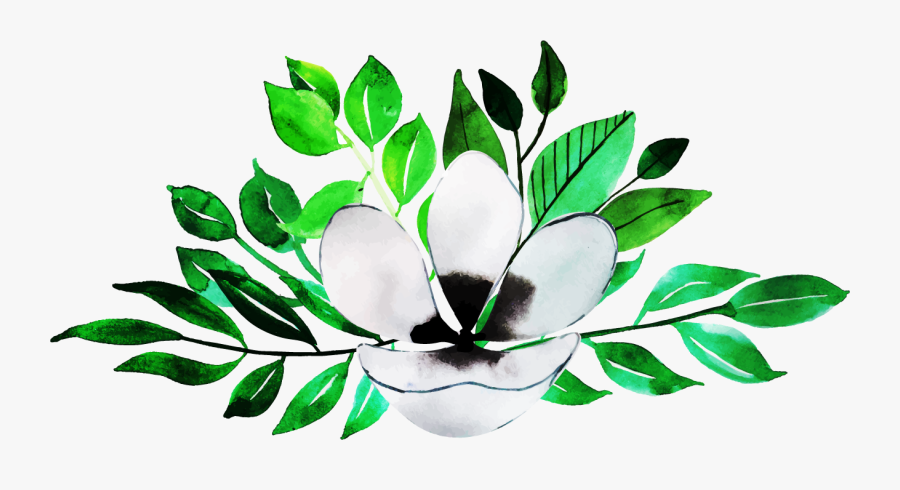 Magnolia, Transparent Clipart