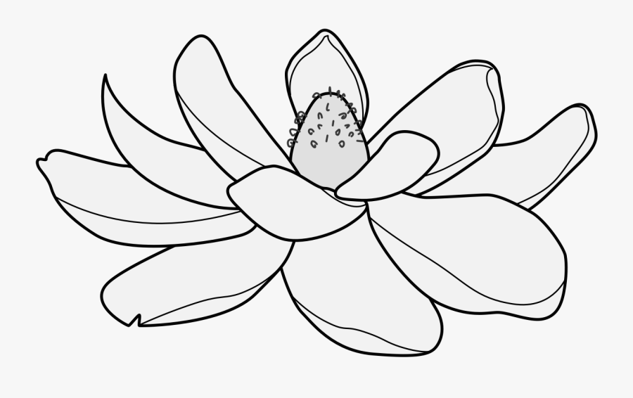 Lotus, Transparent Clipart