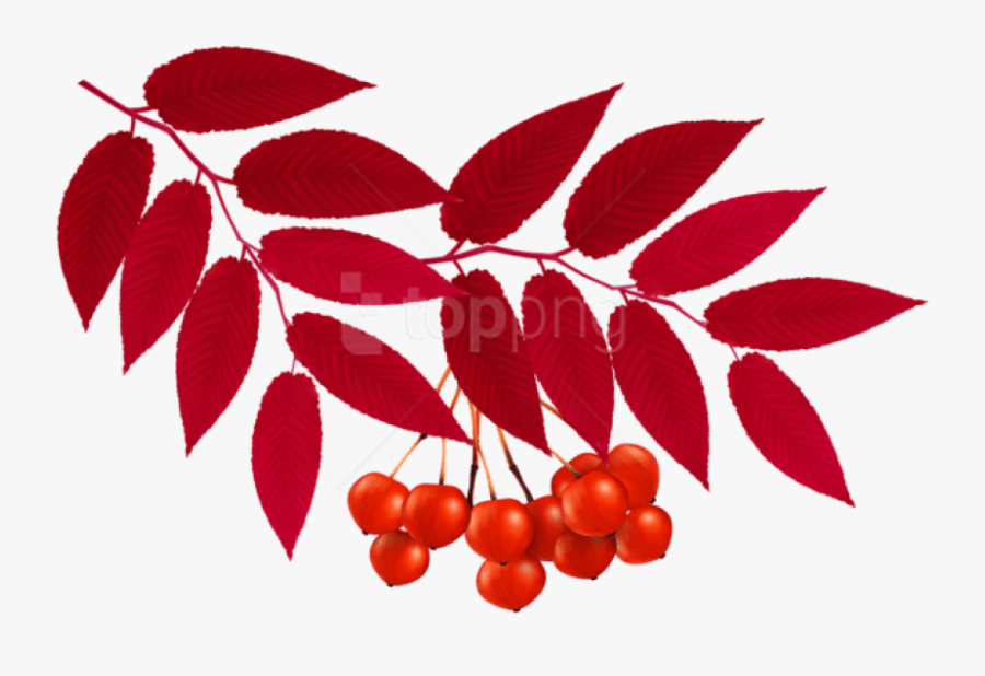 Free Png Download Autumn Red Leaves Decoration Clipart - Autumn Red Leaves Clipart, Transparent Clipart