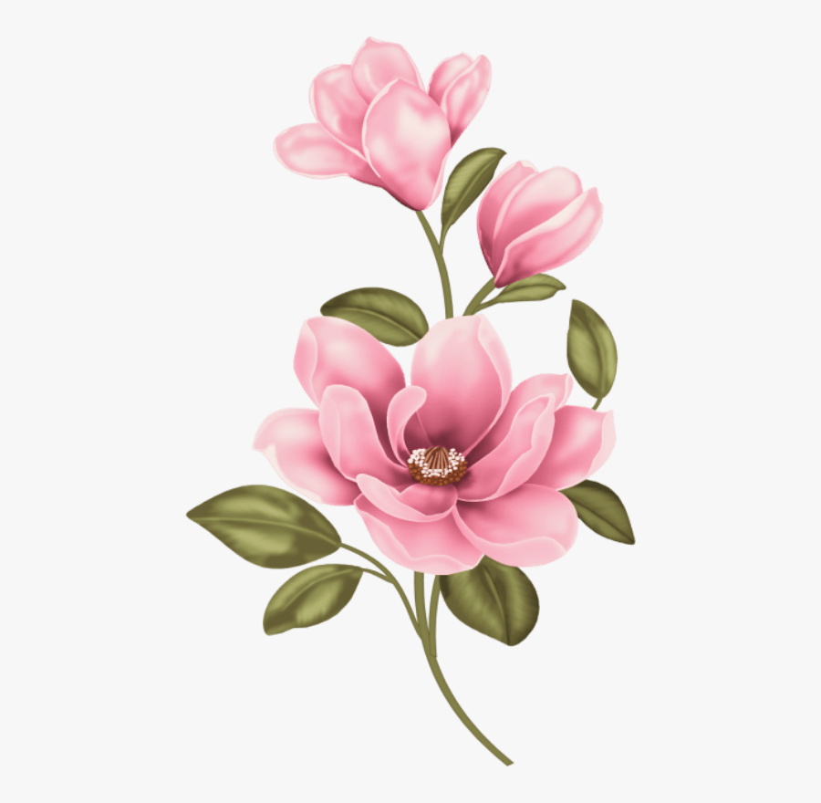 Magnolia Clipart, Transparent Clipart