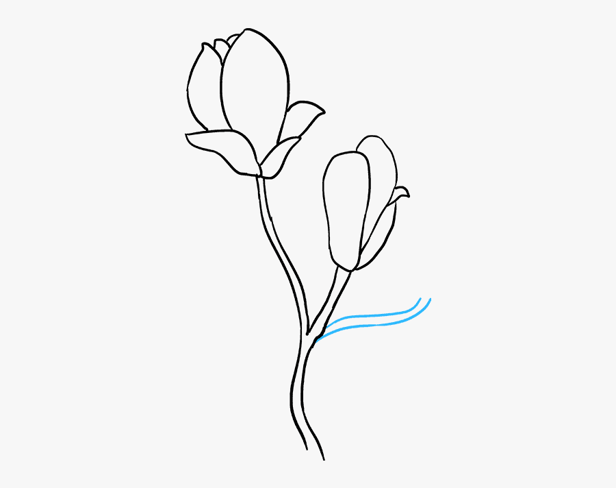 Clip Art Flowers Really Easy Drawing - Magnolia Flower Drawing Simple, Transparent Clipart
