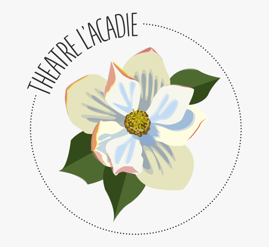Magnolia, Transparent Clipart