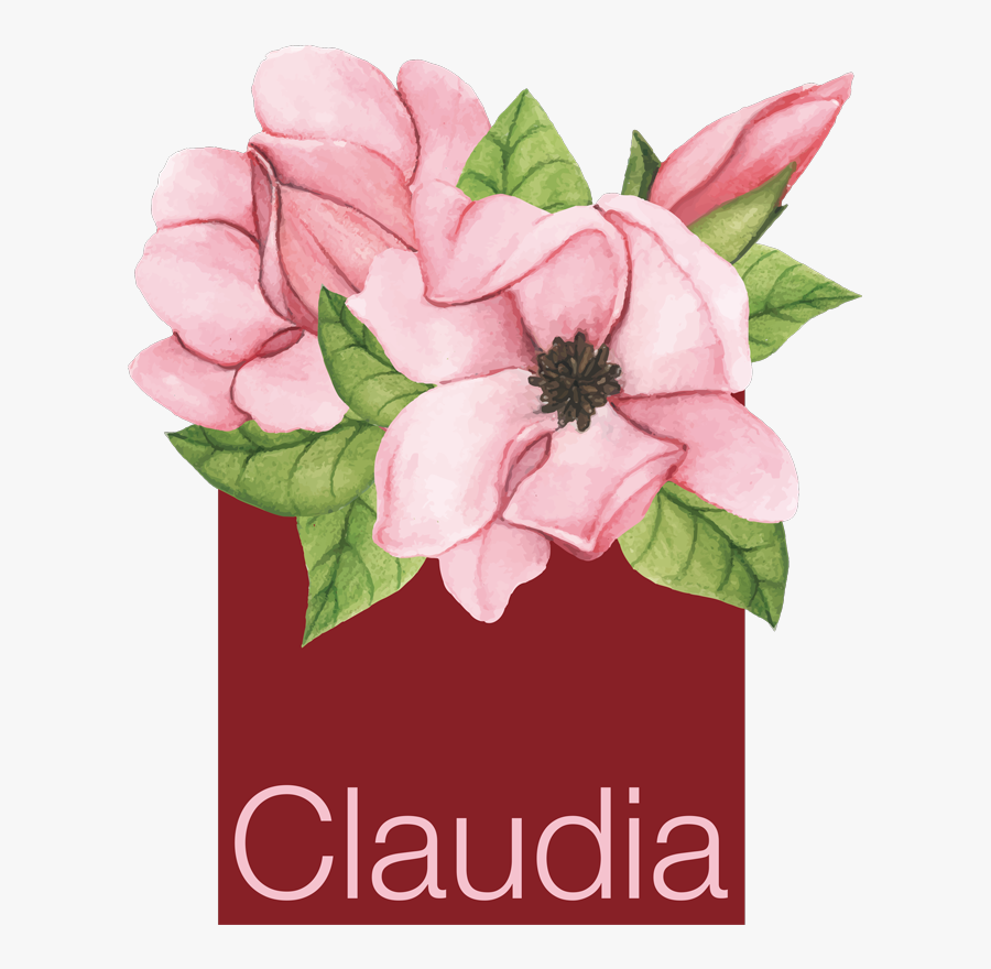 Flor De Magnolia, Transparent Clipart