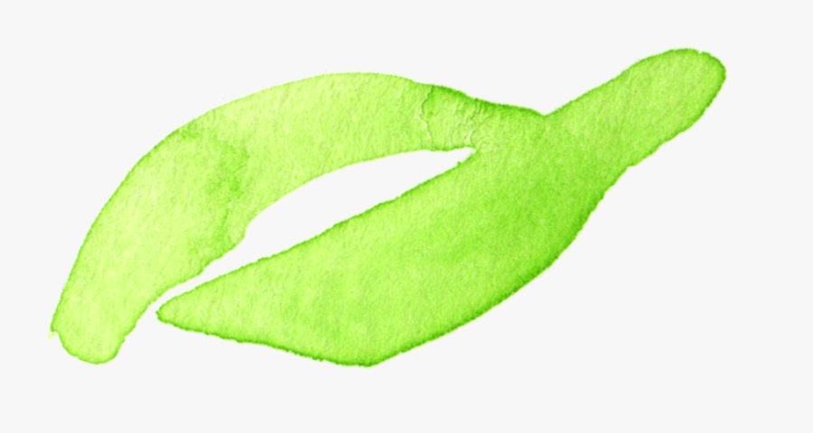 Marine Mammal, Transparent Clipart