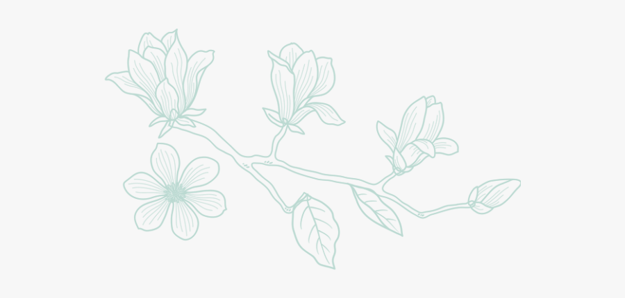 Sketch, Transparent Clipart