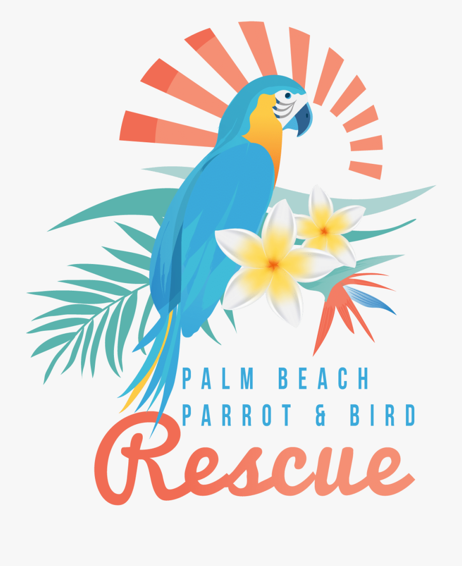 Music, Transparent Clipart